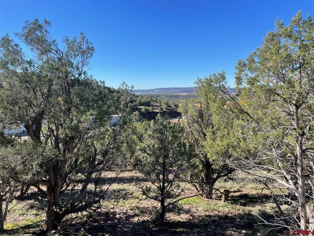 440 Run Around Road Arboles CO 81121
