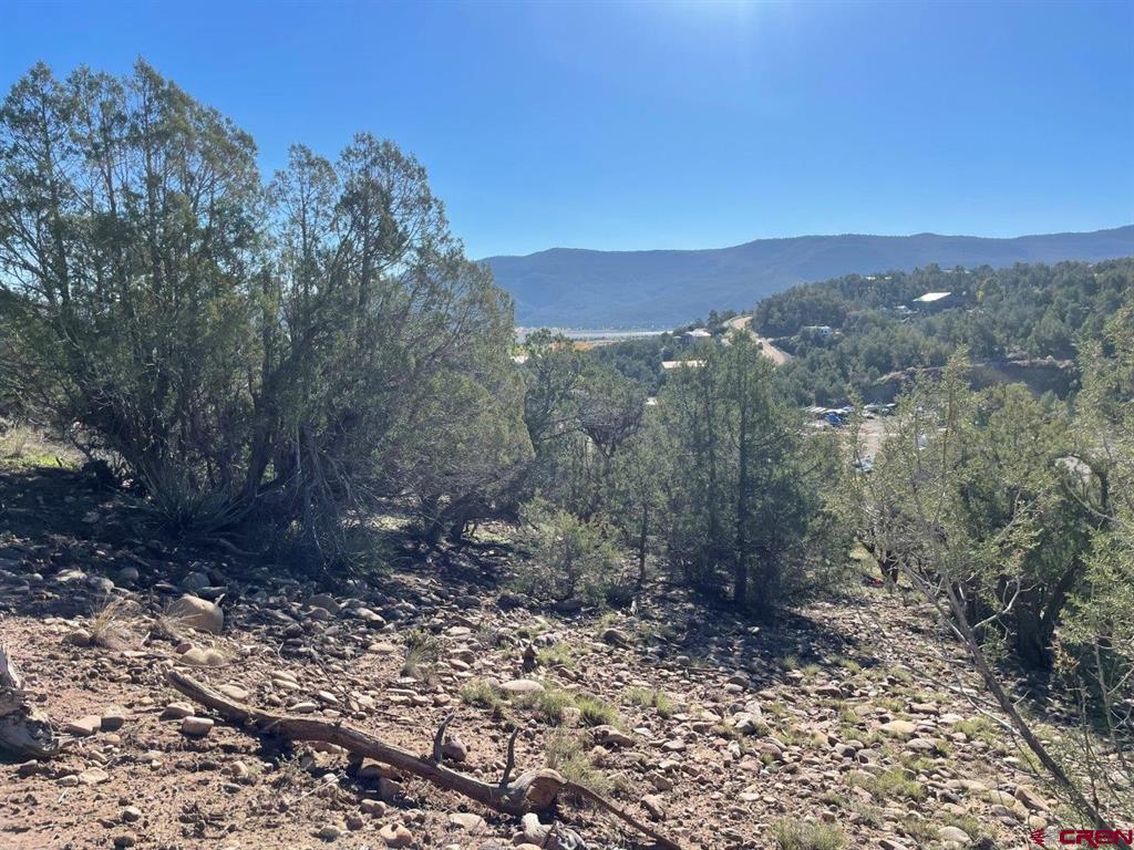 440 Run Around Road Arboles CO 81121