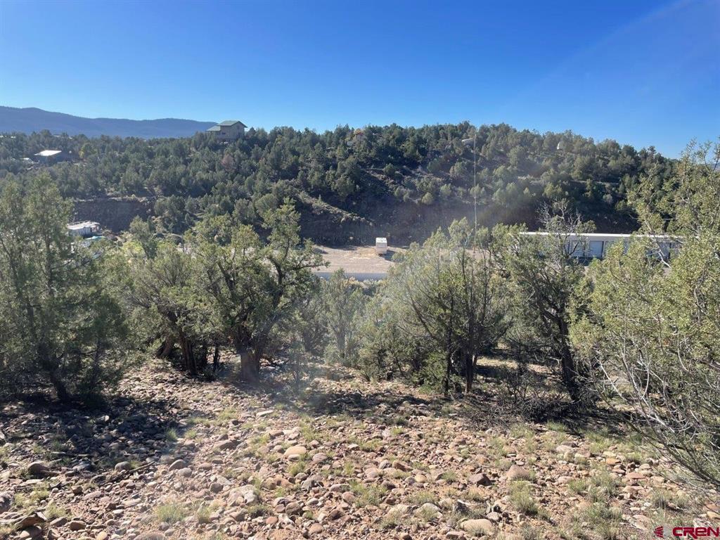 440 Run Around Road Arboles CO 81121