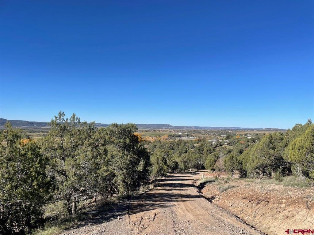 440 Run Around Road Arboles CO 81121