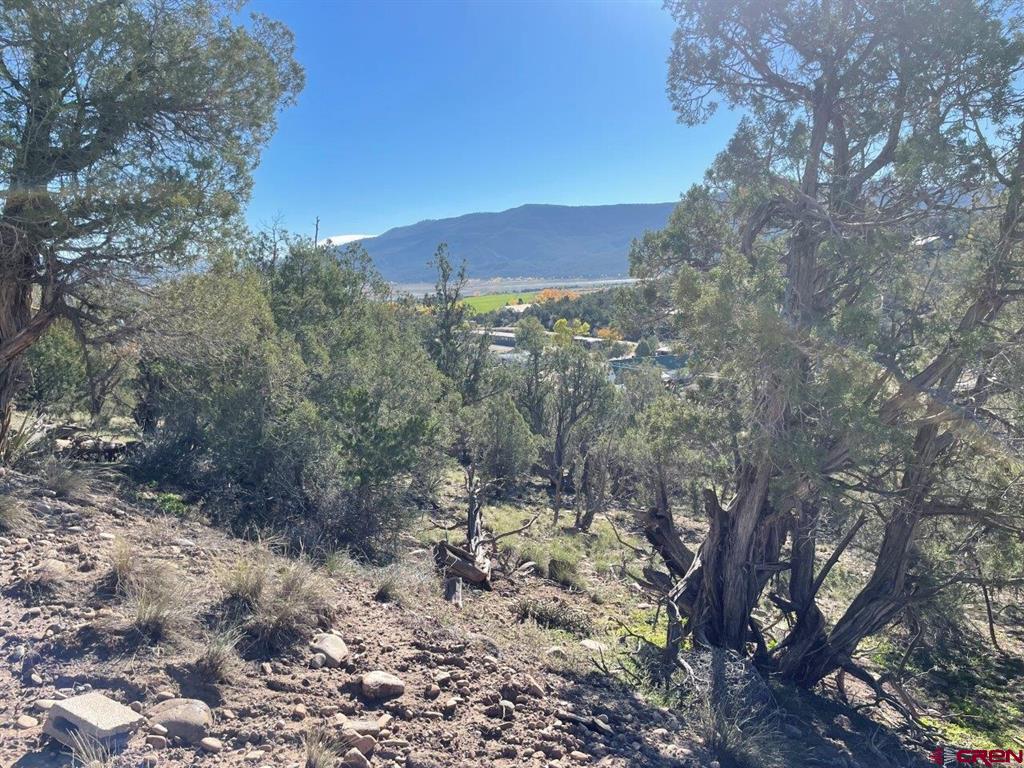 440 Run Around Road Arboles CO 81121