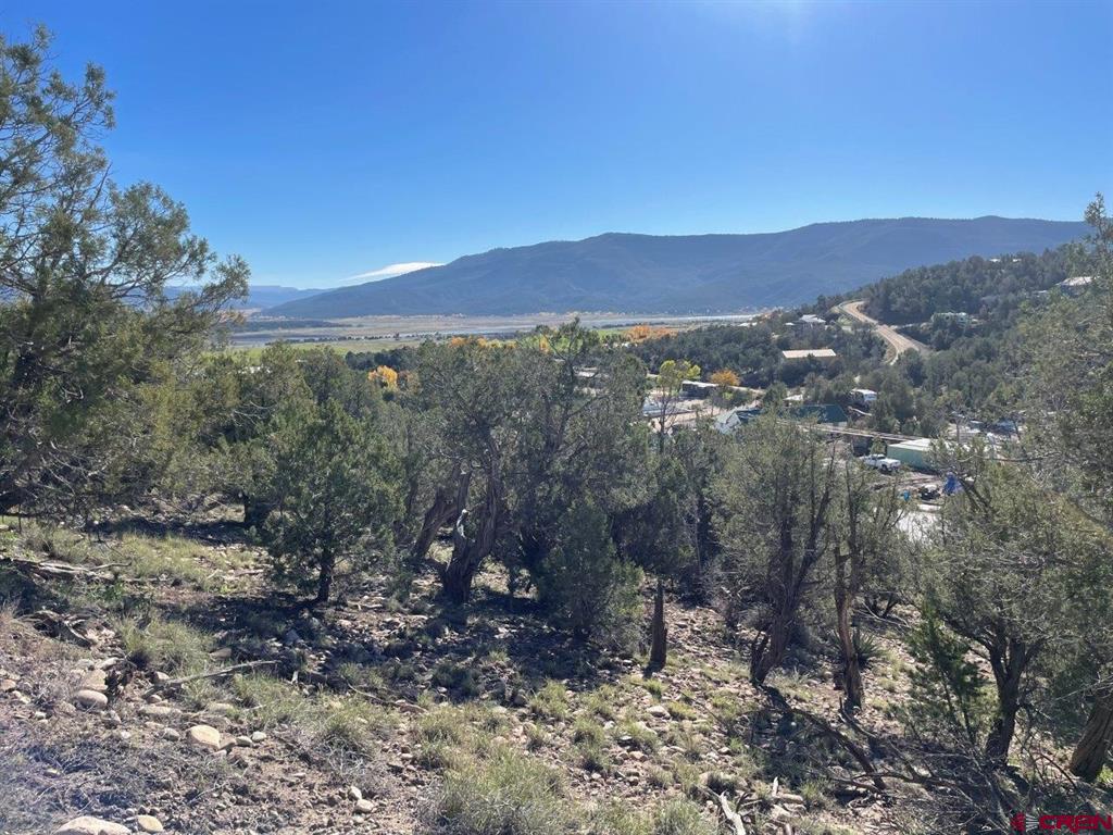 440 Run Around Road Arboles CO 81121