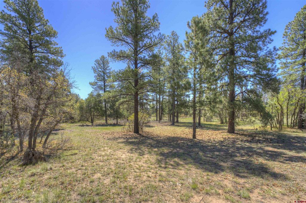1100 Cr125 Durango CO 81303
