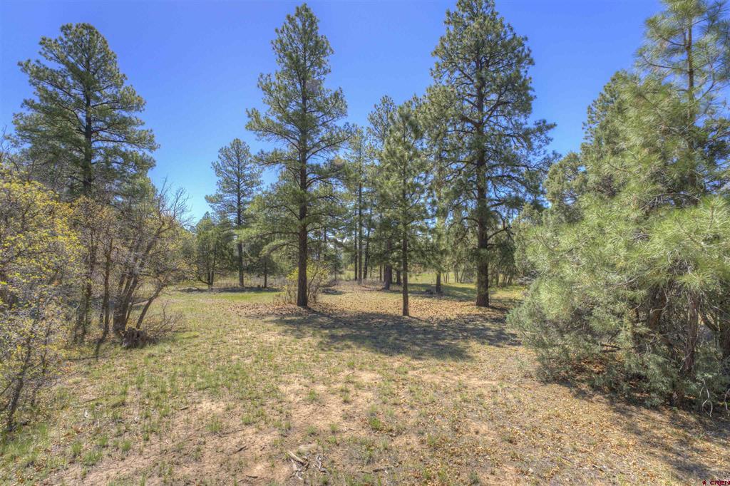 1100 Cr125 Durango CO 81303
