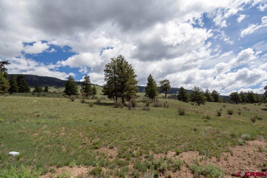 475 Cliff View Drive Creede CO 81130