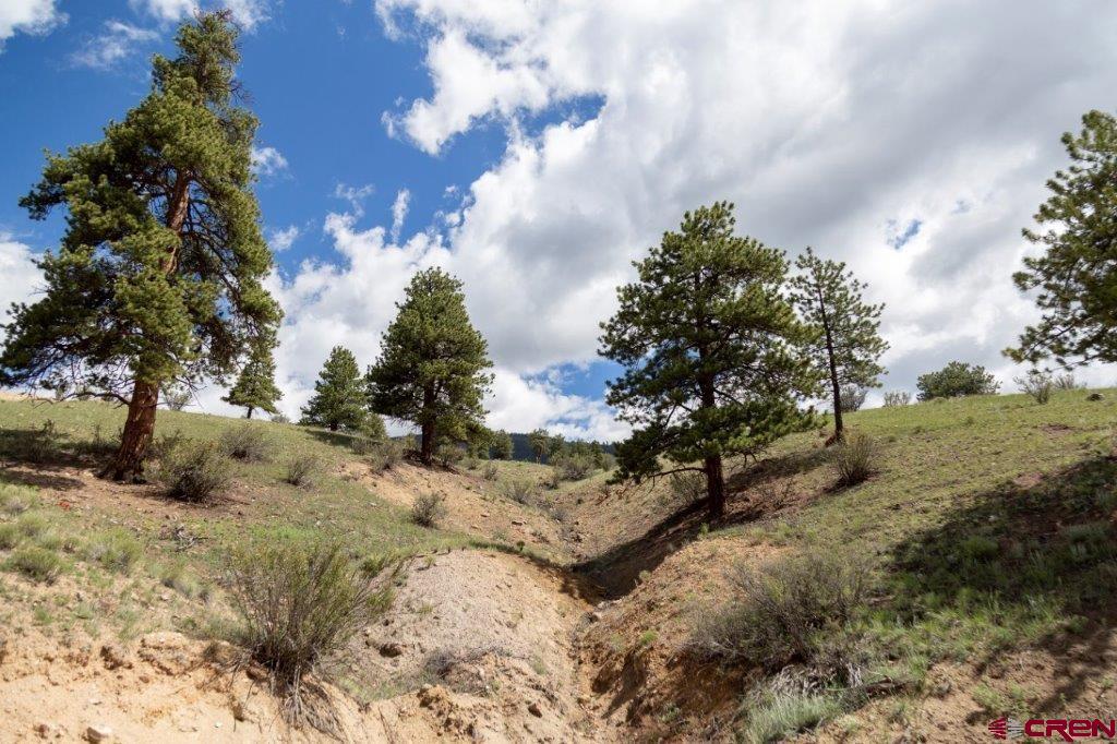 475 Cliff View Drive Creede CO 81130