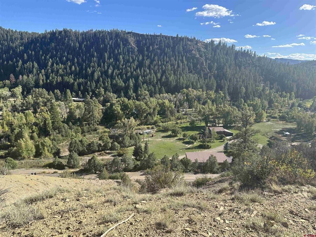 232 Suttles Place Pagosa Springs CO 81147