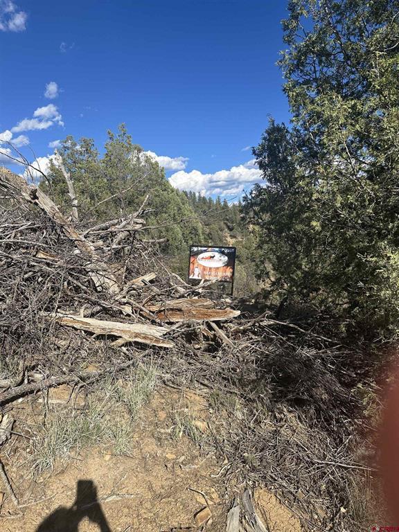232 Suttles Place Pagosa Springs CO 81147