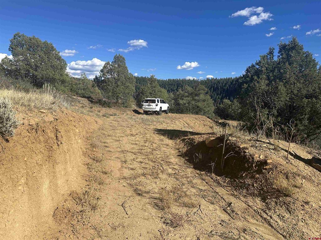 232 Suttles Place Pagosa Springs CO 81147