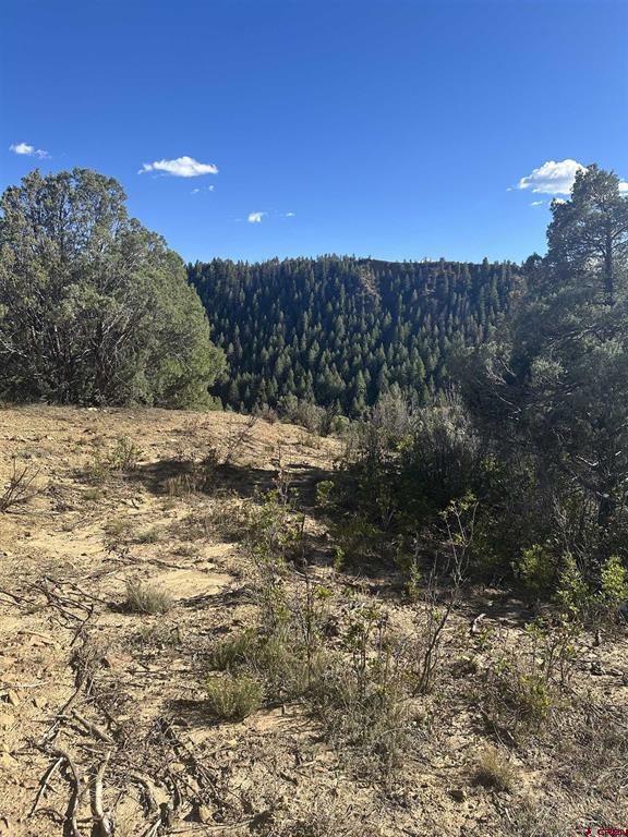 232 Suttles Place Pagosa Springs CO 81147