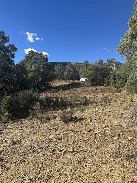 232 Suttles Place Pagosa Springs CO 81147