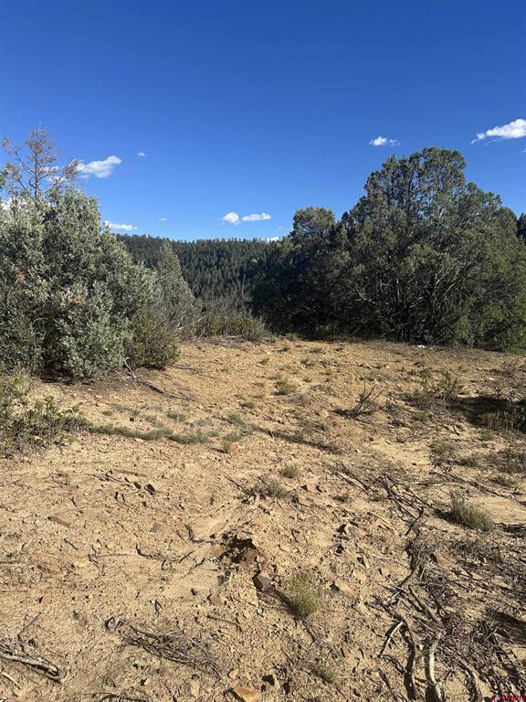 232 Suttles Place Pagosa Springs CO 81147