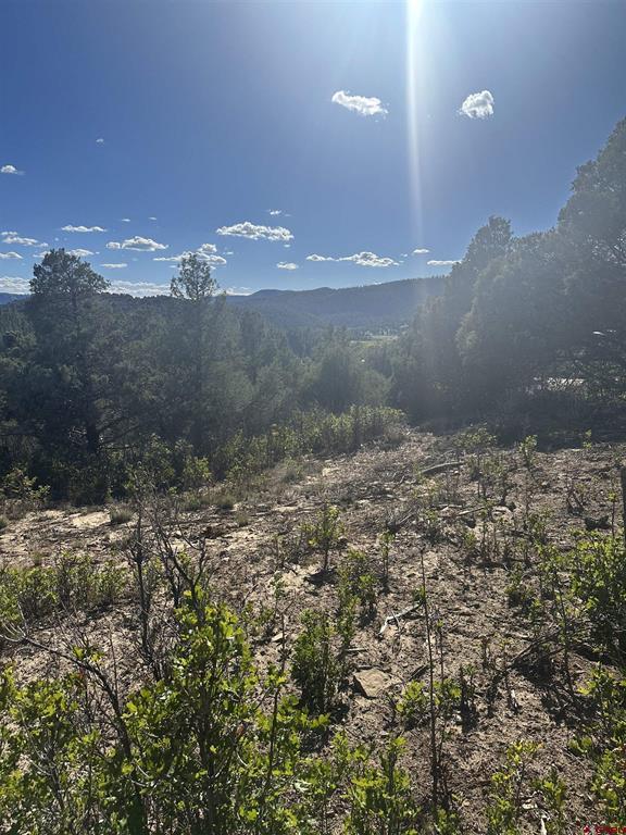 232 Suttles Place Pagosa Springs CO 81147