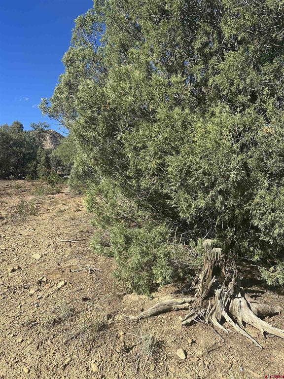 232 Suttles Place Pagosa Springs CO 81147