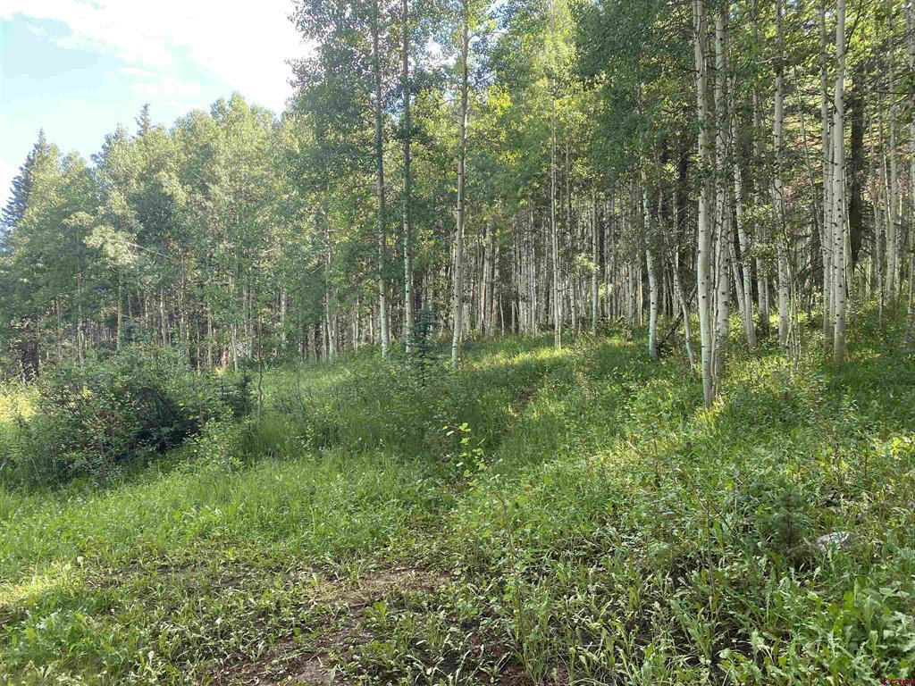 15050 145 Highway Rico CO 81332