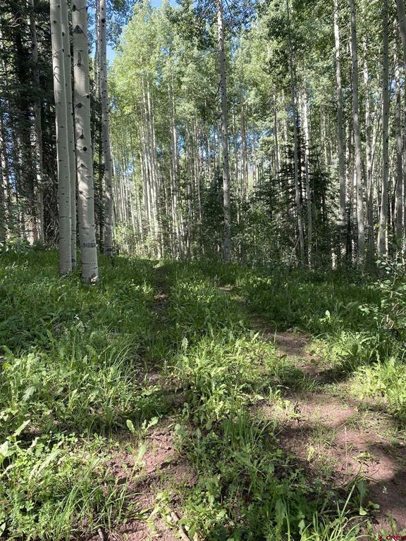 15050 145 Highway Rico CO 81332