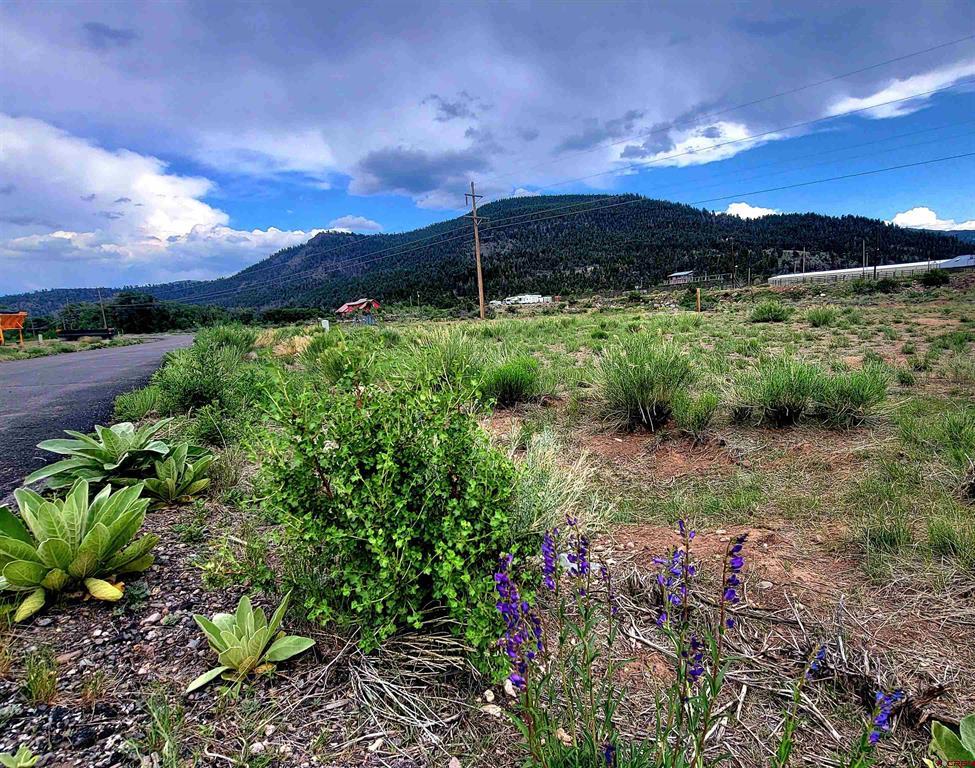 132 Big River Way Lot 8 South Fork CO 81154