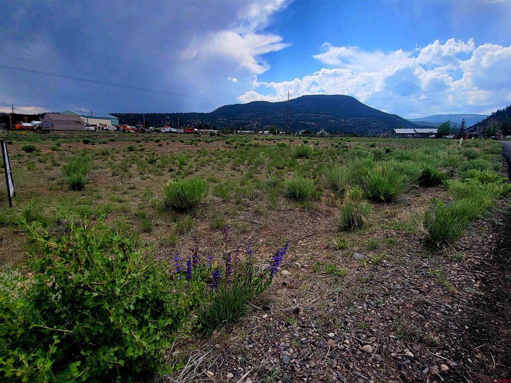 132 Big River Way Lot 8 South Fork CO 81154