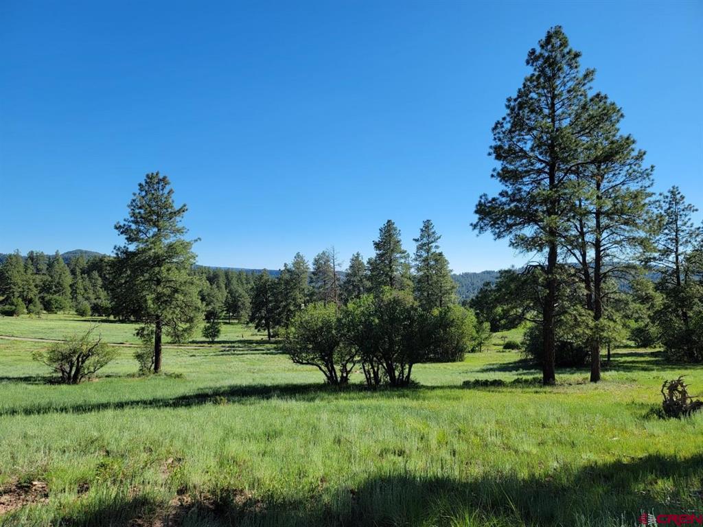X Catchpole Drive Pagosa Springs CO 81147