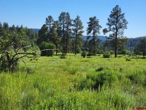 X Catchpole Pagosa Springs CO 81147
