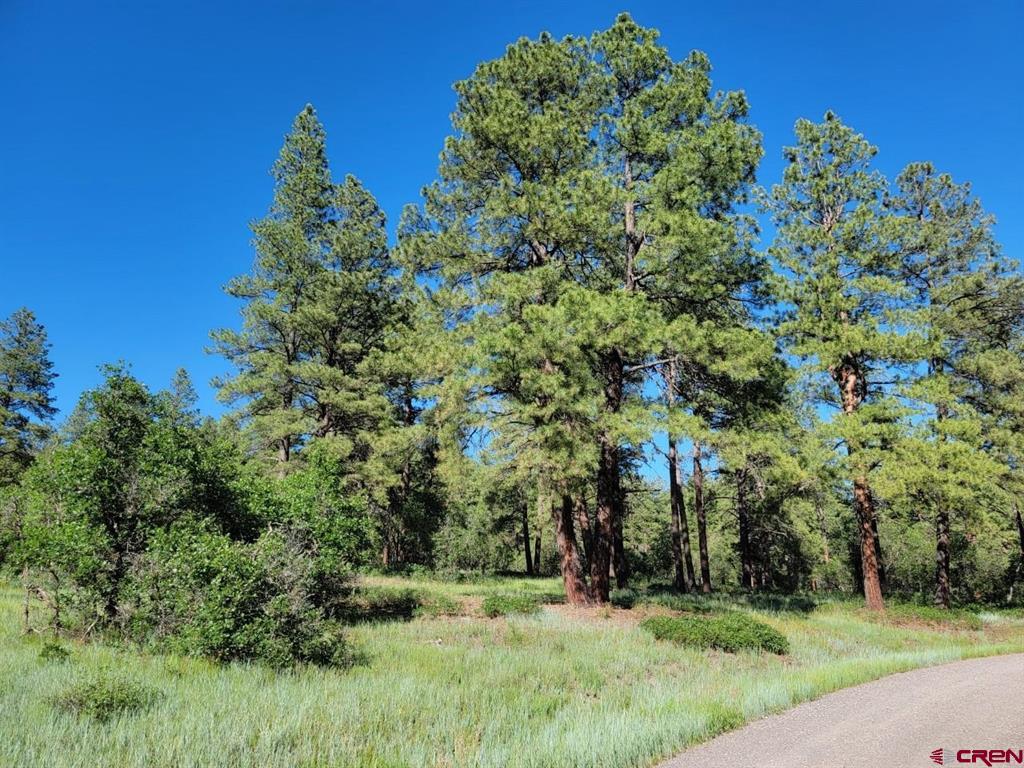 X Catchpole Drive Pagosa Springs CO 81147