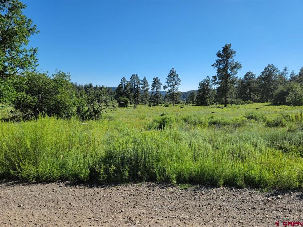 X Catchpole Drive Pagosa Springs CO 81147