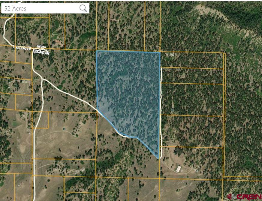 X Catchpole Drive Pagosa Springs CO 81147