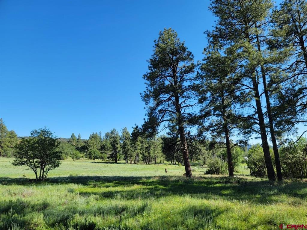 X Catchpole Drive Pagosa Springs CO 81147