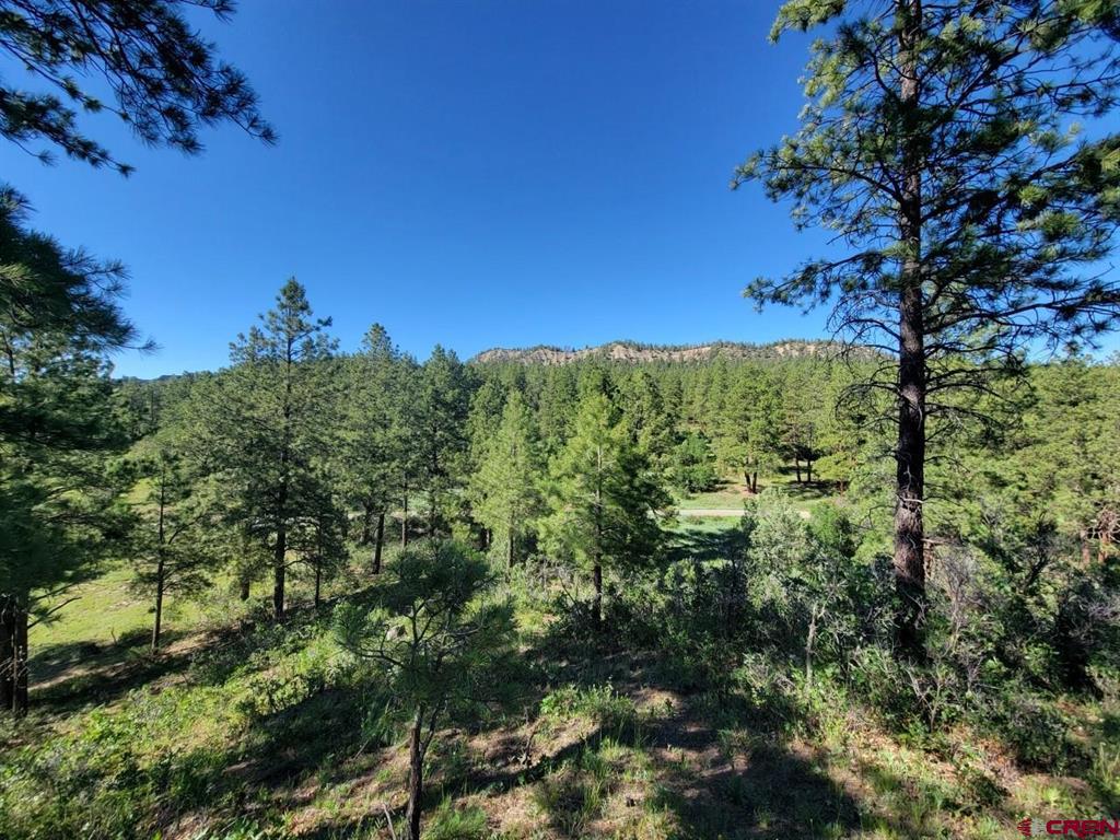 X Catchpole Drive Pagosa Springs CO 81147