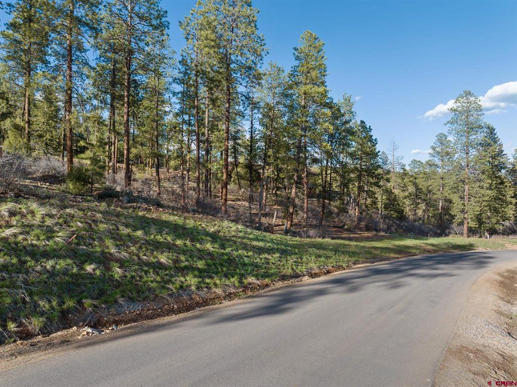 102 Red Canyon Court Durango CO 81301