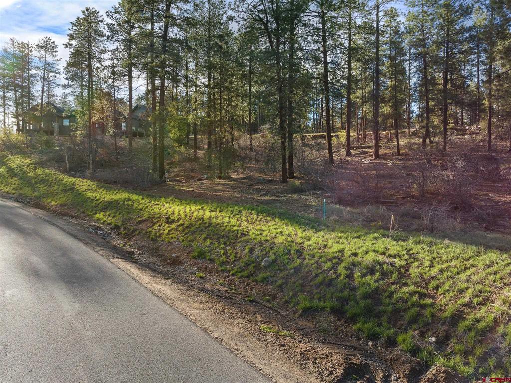 102 Red Canyon Court Durango CO 81301