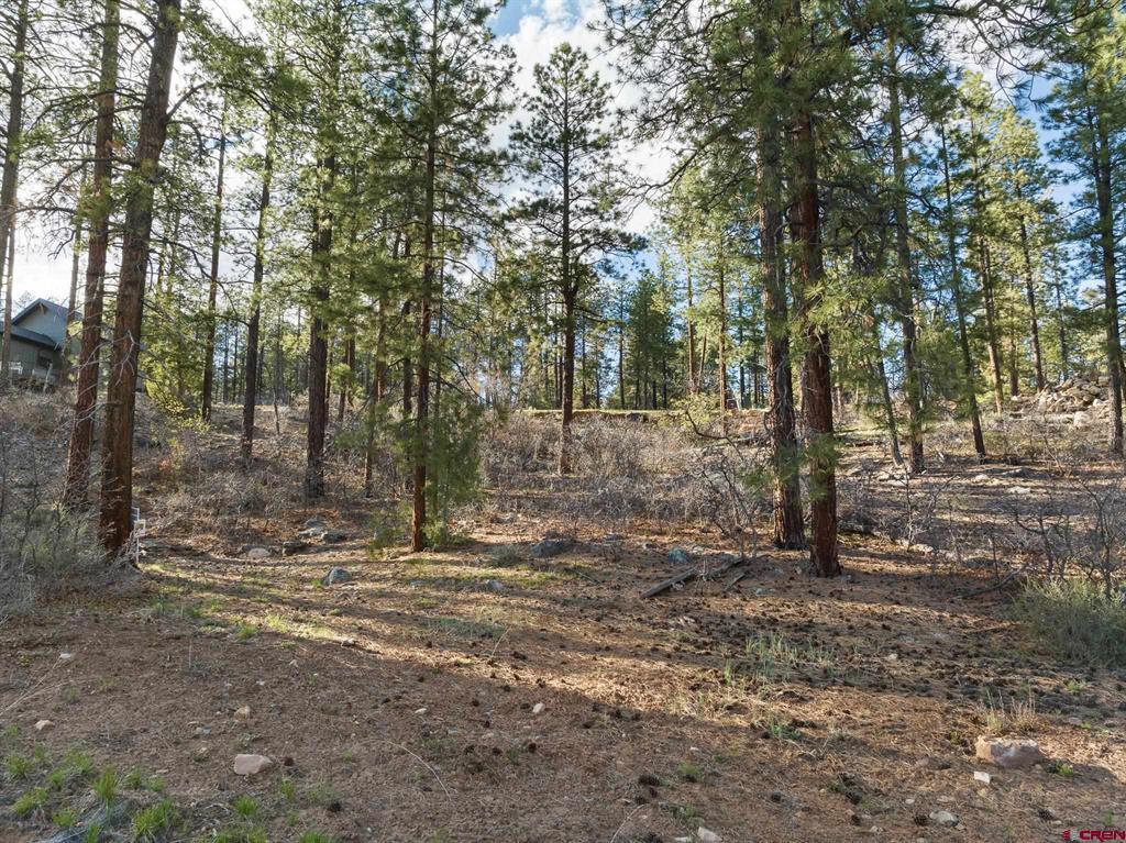 102 Red Canyon Court Durango CO 81301