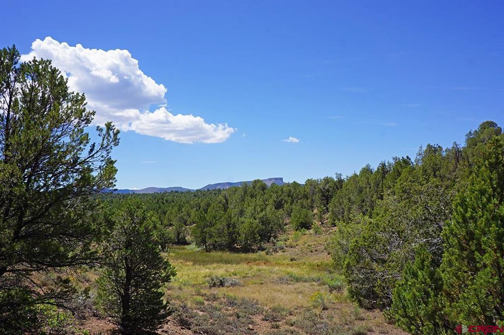 Tbd - Lot 1 Highway 184 Mancos CO 81328