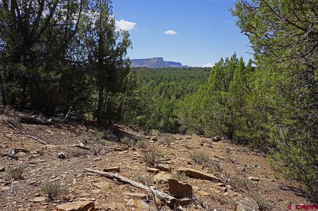Tbd - Lot 1 Highway 184 Mancos CO 81328