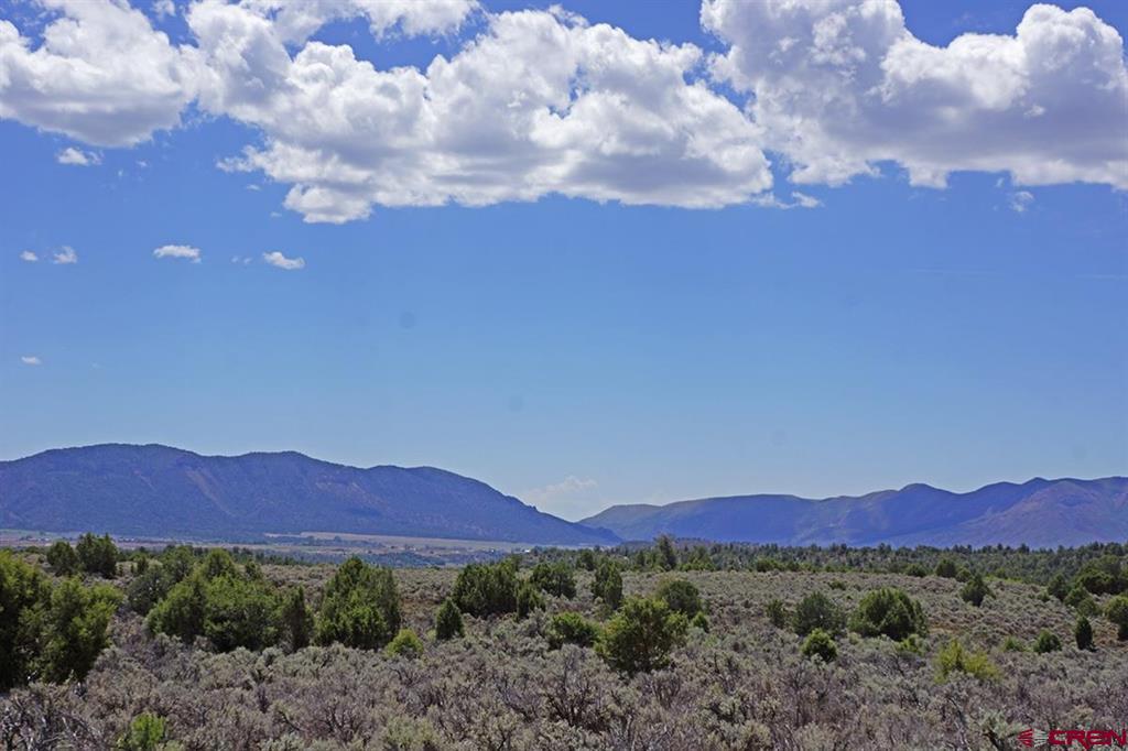 Tbd - Lot 1 Highway 184 Mancos CO 81328