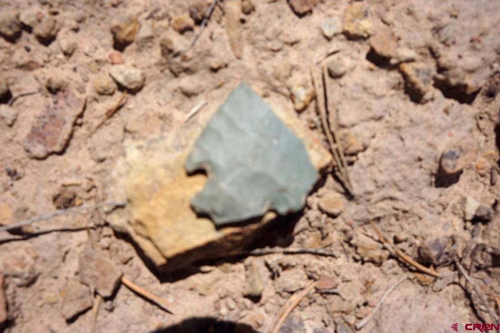 Tbd - Lot 1 Highway 184 Mancos CO 81328
