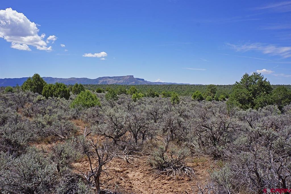 Tbd - Lot 1 Highway 184 Mancos CO 81328