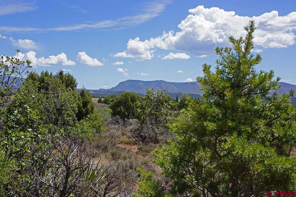 Tbd - Lot 1 Highway 184 Mancos CO 81328