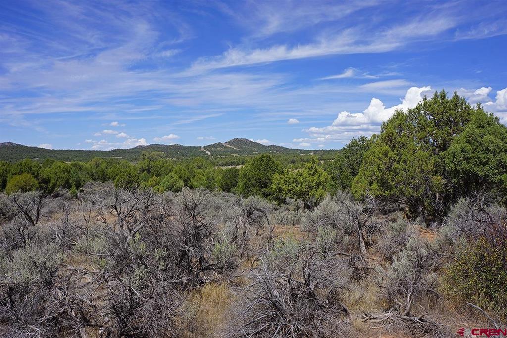 Tbd - Lot 1 Highway 184 Mancos CO 81328