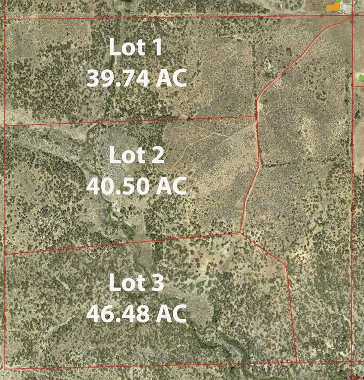 Tbd - Lot 1 Highway 184 Mancos CO 81328