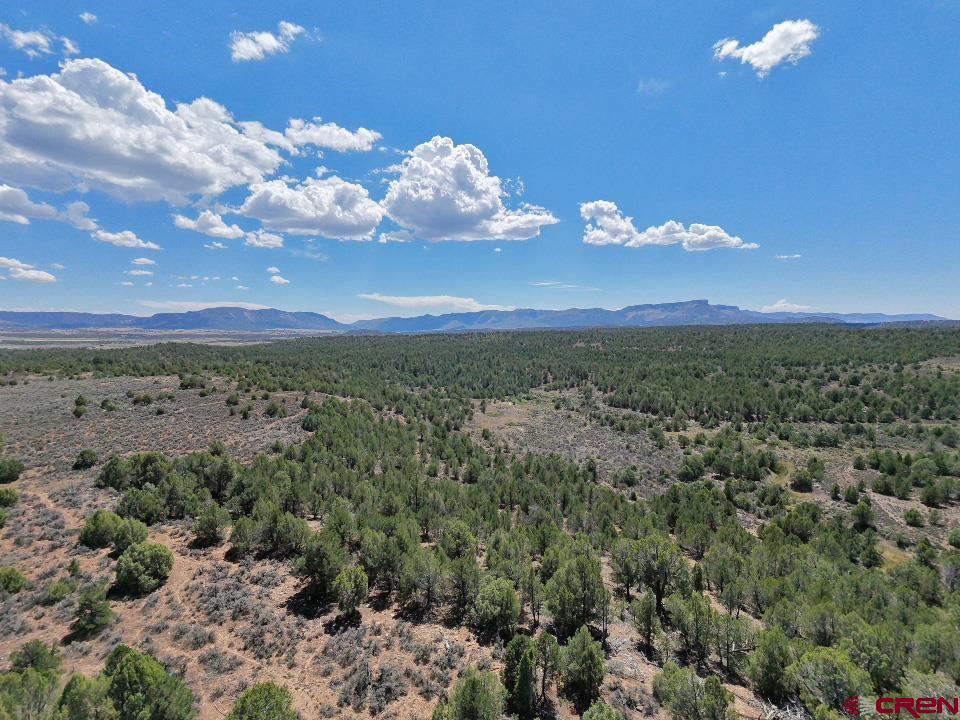 Tbd - Lot 1 Highway 184 Mancos CO 81328