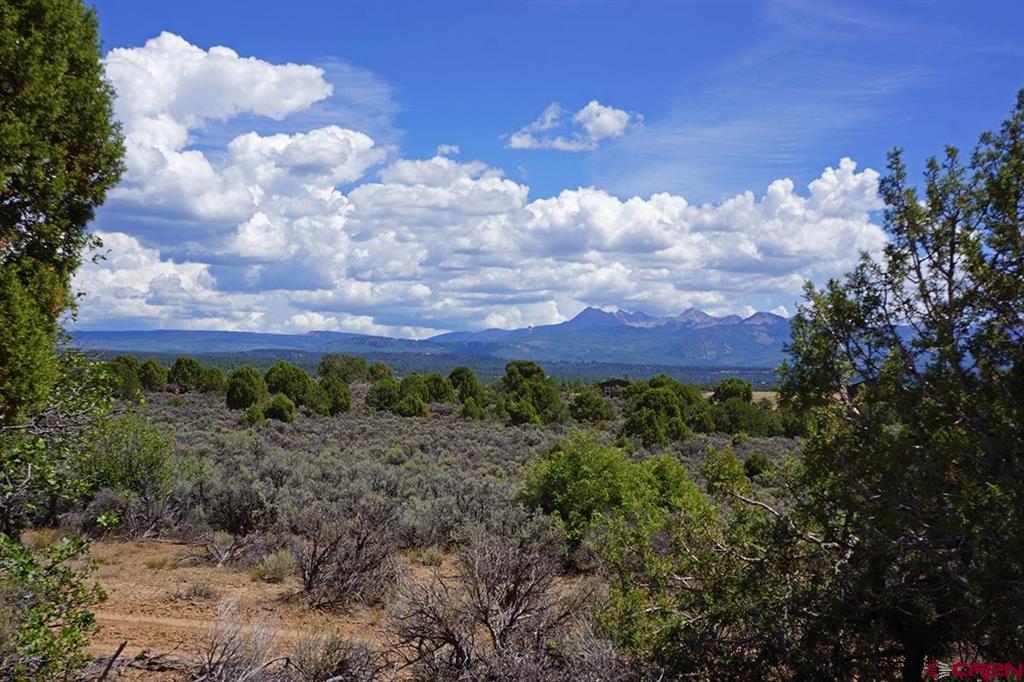 Tbd - Lot 1 Highway 184 Mancos CO 81328