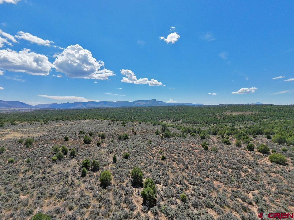 Tbd - Lot 1 Highway 184 Mancos CO 81328