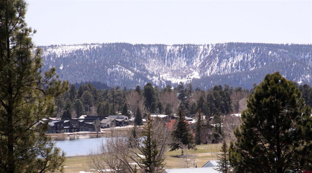 360 Caddy Circle Pagosa Springs CO 81147