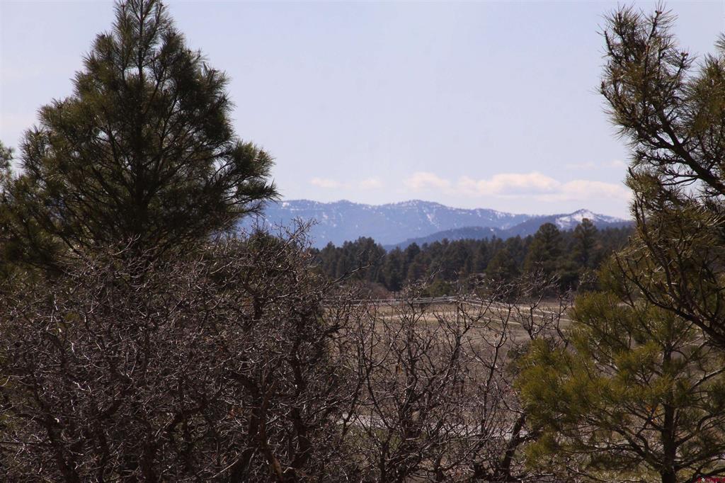 360 Caddy Circle Pagosa Springs CO 81147