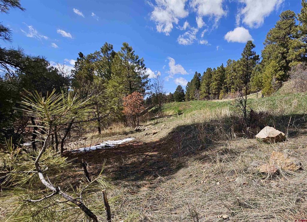 360 Caddy Circle Pagosa Springs CO 81147