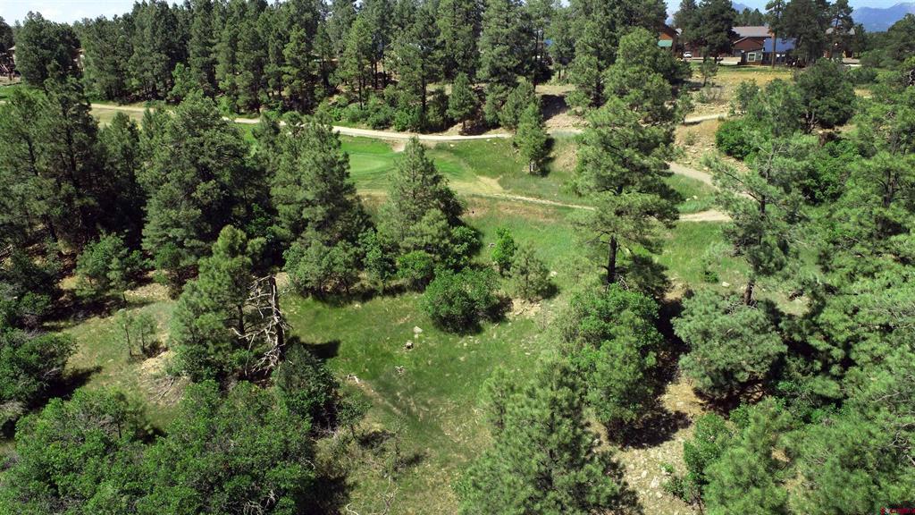 360 Caddy Circle Pagosa Springs CO 81147