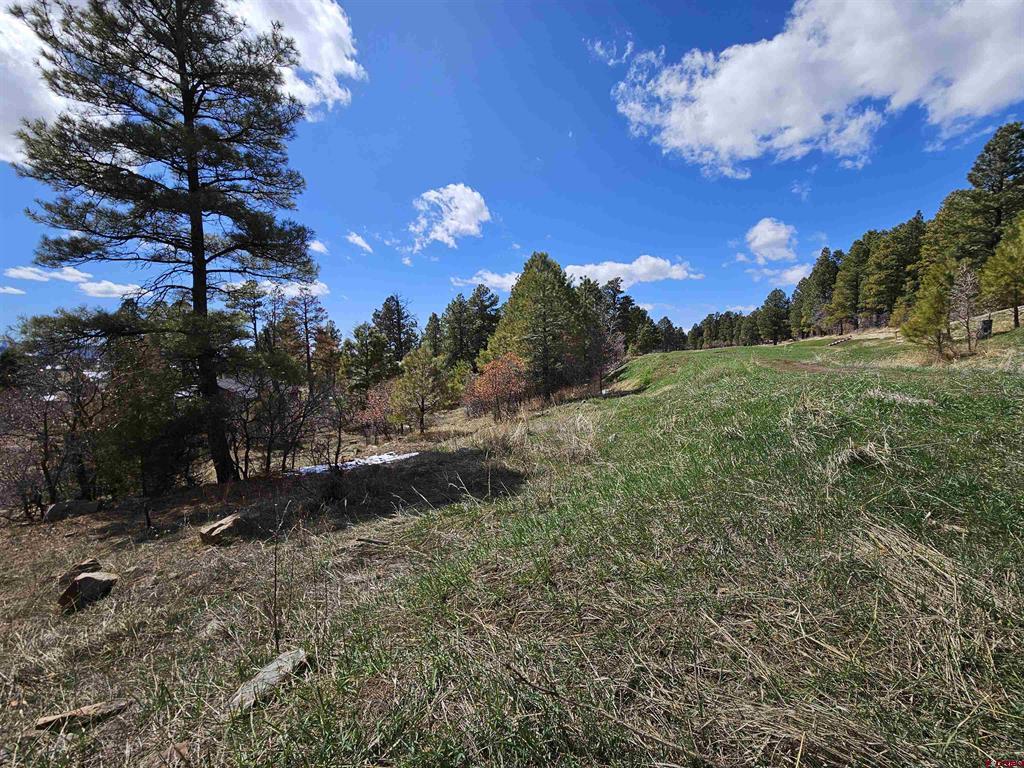 360 Caddy Circle Pagosa Springs CO 81147