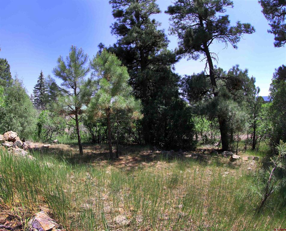 360 Caddy Circle Pagosa Springs CO 81147