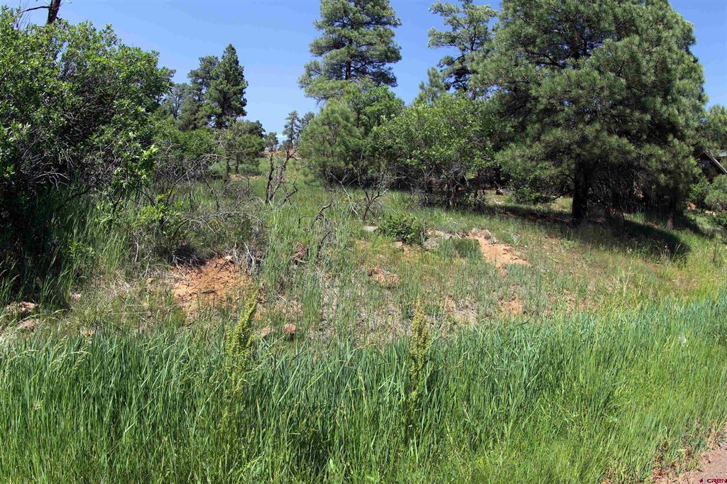 360 Caddy Circle Pagosa Springs CO 81147